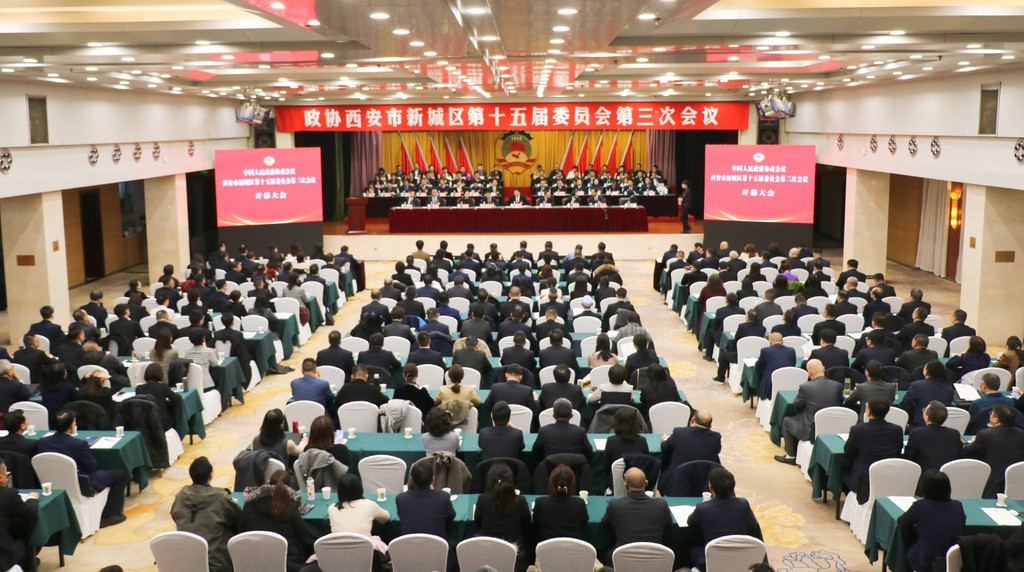 图片8